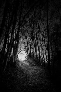 darkwoodpath